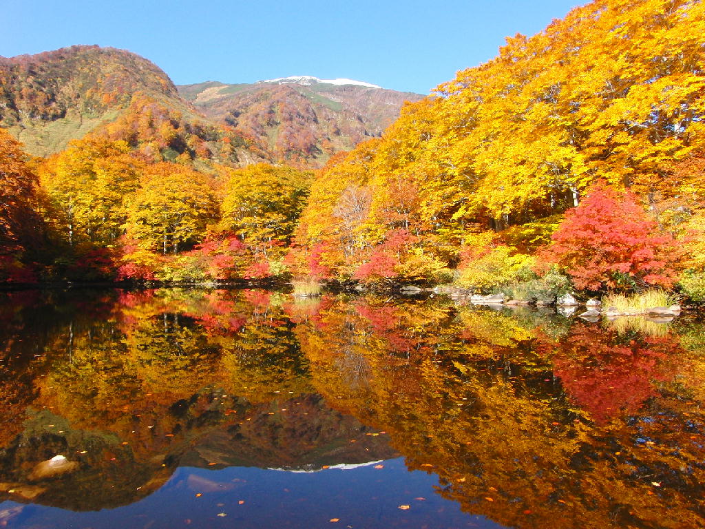 鶴間池の紅葉